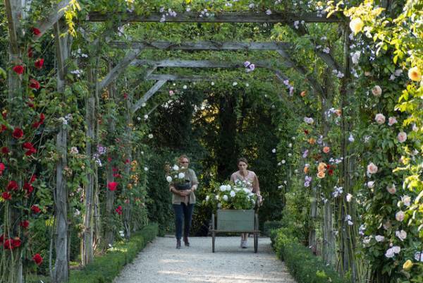 美しいバラが大集合！『ローズメイカー』冒頭映像