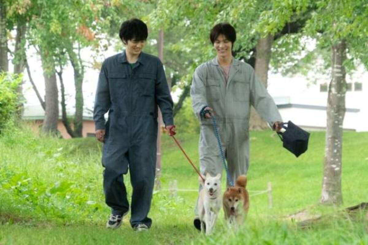 林遣都 思いが響くといいな 犬部 保護犬たちとのメイキング映像解禁 21年7月18日 ウーマンエキサイト 1 3