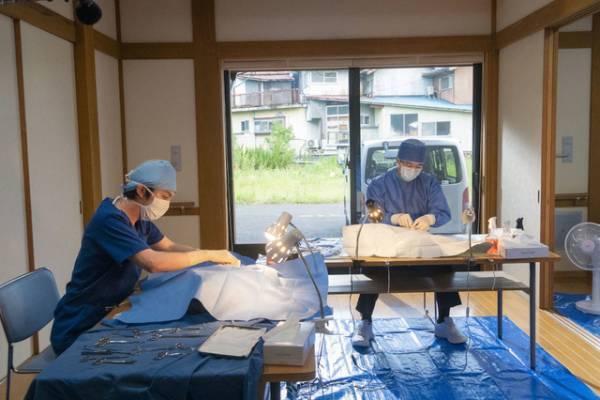 『犬部！』殺処分＆多頭飼育崩壊ゼロを目指すには？人間と動物の共生を一緒に考える＜アーカイブ＞