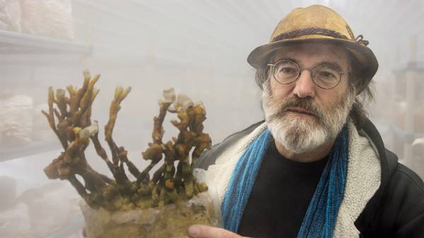 きのこが地球を救う？神秘的な世界へ誘う『素晴らしき、きのこの世界』冒頭映像