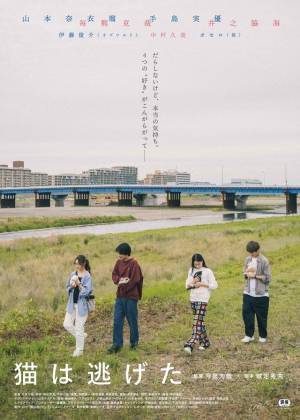 今泉監督×城定脚本『猫は逃げた』に山本奈衣瑠＆毎熊克哉＆手島実優＆井之脇海が出演