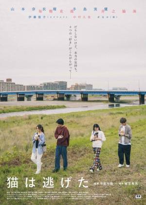 今泉監督×城定脚本『猫は逃げた』に山本奈衣瑠＆毎熊克哉＆手島実優＆井之脇海が出演
