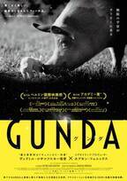 動物たちの暮らし覗く…全編音楽・ナレーション無しのモノクローム映像で構成された映画『GUNDA』予告編公開