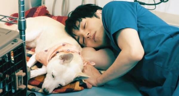 林遣都×中川大志『犬部！』Blu-rayリリース、約120分の豪華特典映像収録