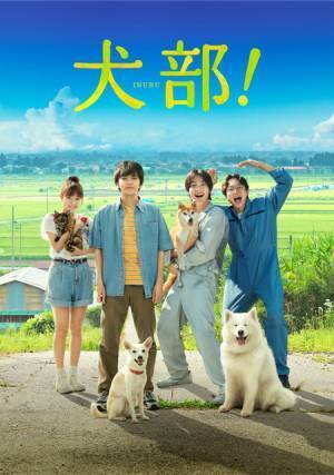 林遣都×中川大志『犬部！』Blu-rayリリース、約120分の豪華特典映像収録