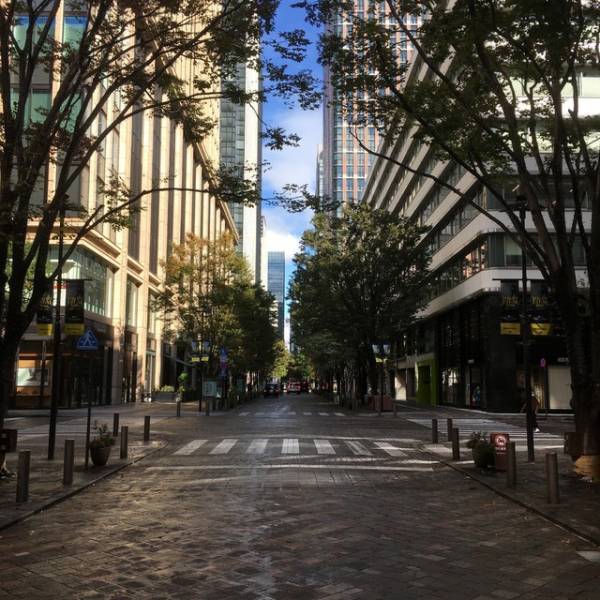 「第34回東京国際映画祭」屋外上映会ラインアップ発表！『シティーハンター』『スパイダーバース』ほか