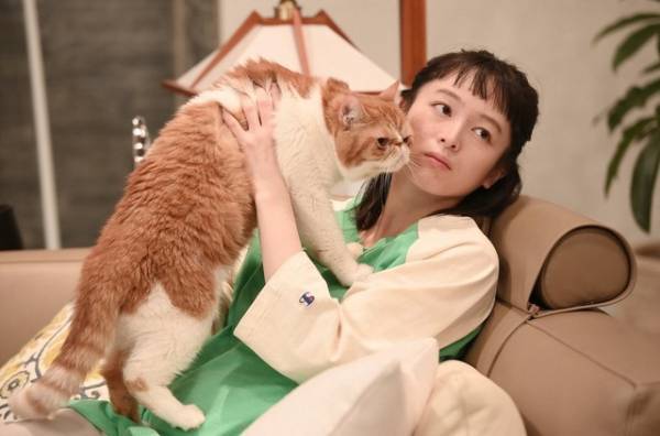 「婚姻届に判を捺しただけですが」4話　倉科カナ“美晴”の行動に視聴者驚愕…高杉真宙“唯斗”の“宣戦布告”も注目集める