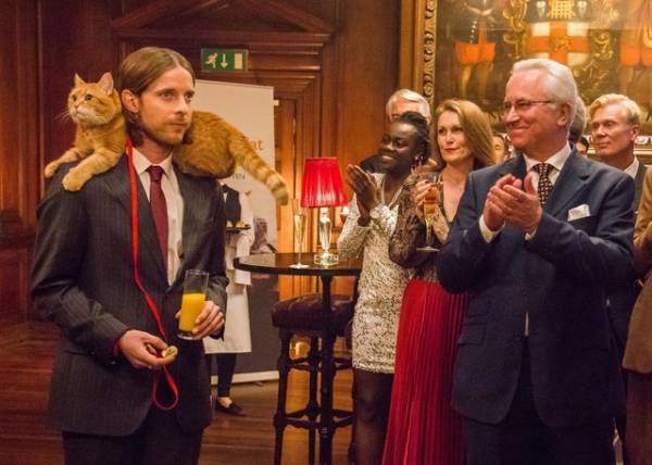 ボブ＆ジェームズが大ピンチ!?『ボブという名の猫２』予告映像＆新場面写真