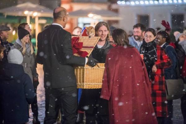 ボブ＆ジェームズが大ピンチ!?『ボブという名の猫２』予告映像＆新場面写真