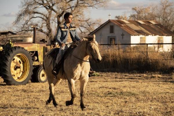 『グラン・トリノ』とも重なる『クライ・マッチョ』本編映像公開