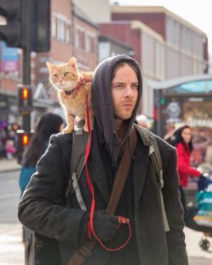 ジェームズ本人も「本当に特別な存在だった」『ボブという名の猫２　幸せのギフト』新写真