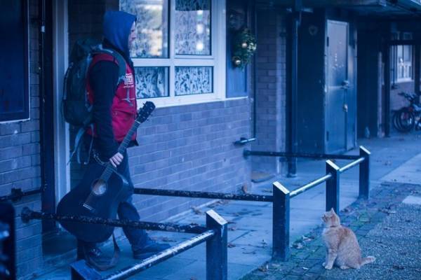 ジェームズ本人も「本当に特別な存在だった」『ボブという名の猫２　幸せのギフト』新写真