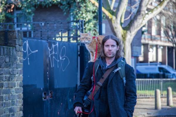 『ボブという名の猫2』路上の“2人”に動物福祉局が近づく…苦難の始まりの本編映像