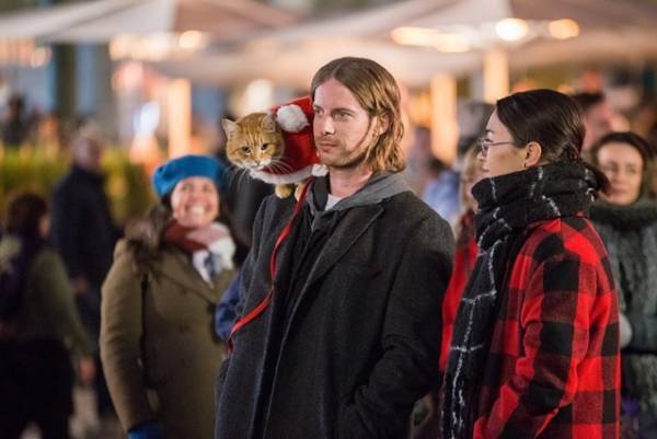 肩乗りボブのしっぽふりがキュート『ボブという名の猫2』メイキング映像