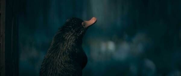エディ・レッドメインが物語の鍵を握る魔法動物たちを解説『ファンタビ』最新作特別映像