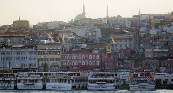 イスタンブールの観光名所を犬たちが悠々歩く『ストレイ 犬が見た世界』本編映像