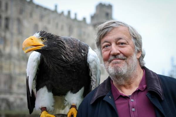 『ファンタビ』魔法動物の裏側に迫るドキュメンタリーU-NEXT配信