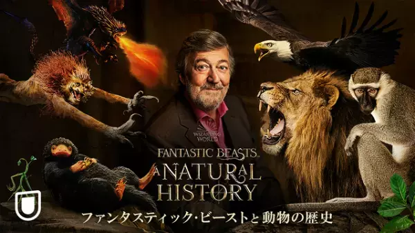 『ファンタビ』魔法動物の裏側に迫るドキュメンタリーU-NEXT配信