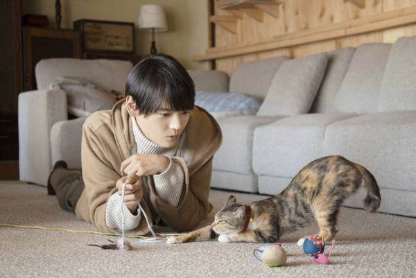 古川雄輝主演「ねこ物件」映画化決定！劇場版初公開カット＆超特報が到着
