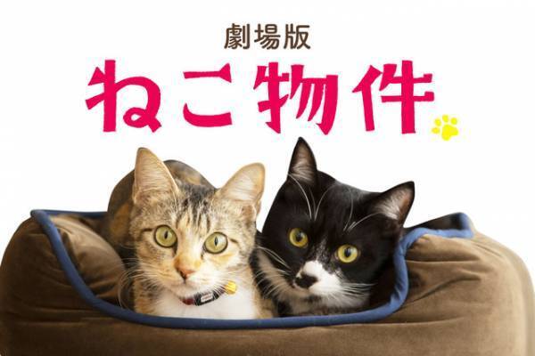 古川雄輝主演「ねこ物件」映画化決定！劇場版初公開カット＆超特報が到着