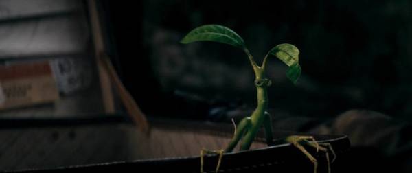 ニュートの相棒ピケットら魔法動物たちが大活躍『ファンタビ』本編映像