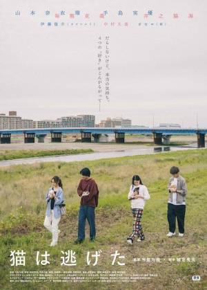 今泉力哉監督特集上映がK2で開催『アイネクライネナハトムジーク』『mellow』ほか