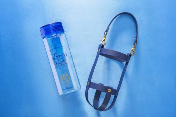 【ディズニー】TDS20周年記念ルームがフィナーレに登場！わくわくするようなアートや仕掛けも