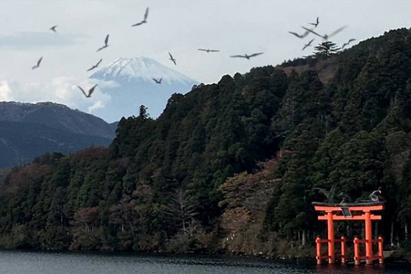 女性キャラクターたちがシリーズの歴史を繋ぐ『ジュラシック・ワールド／新たなる支配者』特別映像