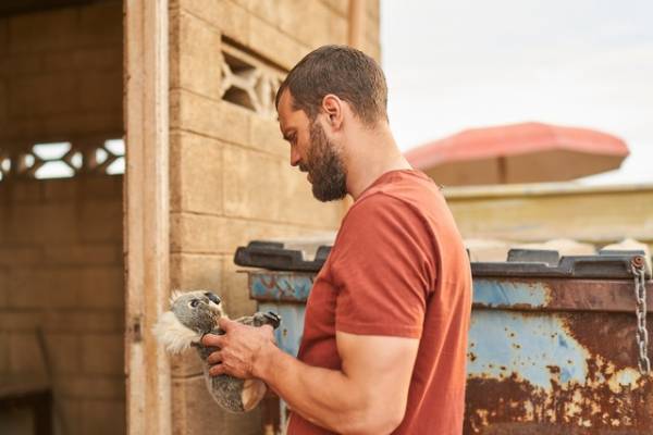 ジェイミー・ドーナン主演「ザ・ツーリスト」記憶のカギはコアラのぬいぐるみ!?
