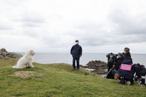映画『ハウ』話題の俳優犬ベックの全力ダッシュや佇む“演技”も！撮影風景を入手