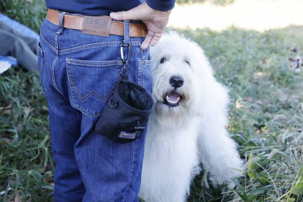 映画『ハウ』話題の俳優犬ベックの全力ダッシュや佇む“演技”も！撮影風景を入手