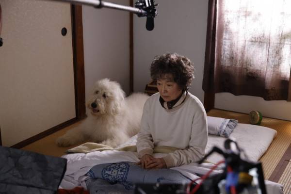 田中圭ら、俳優犬ベックとの絆とらえる『ハウ』オフショット映像