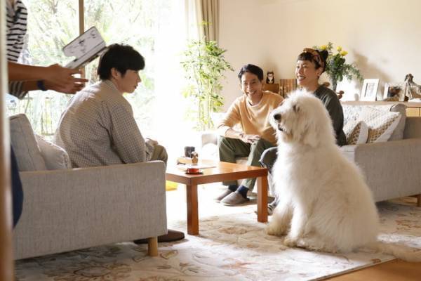 田中圭ら、俳優犬ベックとの絆とらえる『ハウ』オフショット映像