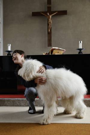 田中圭ら、俳優犬ベックとの絆とらえる『ハウ』オフショット映像