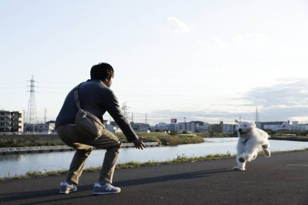田中圭ら、俳優犬ベックとの絆とらえる『ハウ』オフショット映像
