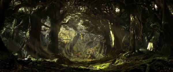 4Kリマスターで蘇る壮大な冒険と熱き戦い『ロード・オブ・ザ・リング／二つの塔』IMAX版最新予告