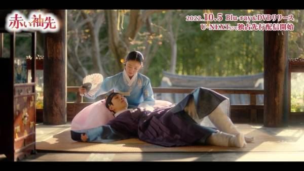 ジュノ、一途な恋を熱演「赤い袖先」スぺシャルPV“世孫と宮女の恋物語”公開