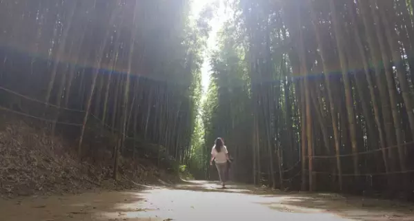 クォン・ウンビと巡る「美しき韓国の田舎町」放送へ　予告編到着