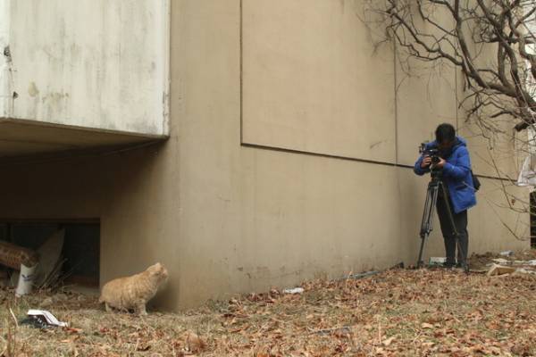 『猫たちのアパートメント』監督からメッセージ「不幸な存在としては描きません」