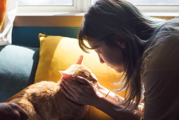 凄腕ドライバーも愛猫には甘い？癒しのルーティーン『パーフェクト・ドライバー』本編映像