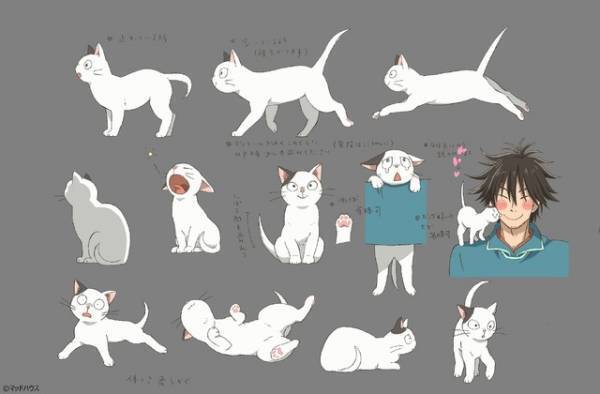 こだわり抜かれた動物＆設計図に注目！ 賀来賢人＆浜辺美波の推しキャラも明らかに『金の国 水の国』