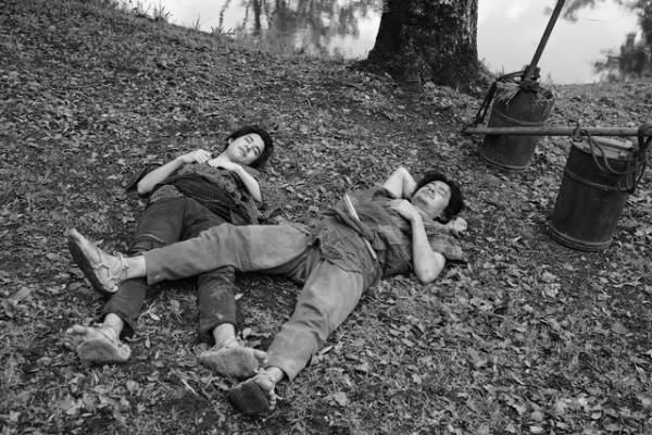 寛一郎＆池松壮亮、息の合った姿とらえる『せかいのおきく』新場面写真