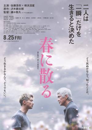 佐藤浩市×横浜流星、ファイティングポーズで向き合う『春に散る』特報 公開は8月25日に