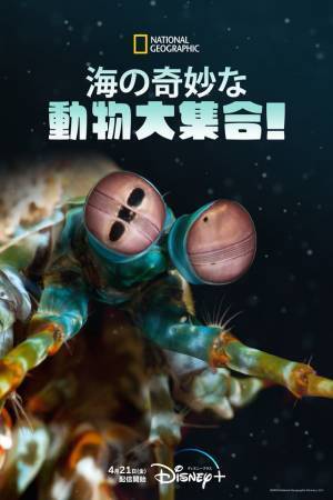 海の生き物やゾウ…動物の世界を覗く3作品、Disney+で配信