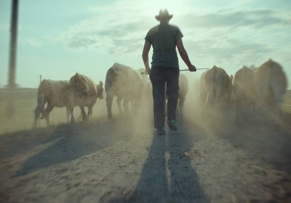 主人公の瞳に映るものとは…アカデミー賞ノミネート『EO イーオー』場面写真公開