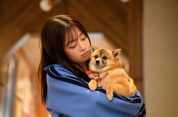 「王様に捧ぐ薬指」第4話 山田涼介“東郷”、橋本環奈“綾華”への嫉妬に「既に大好きやん」の声上がる