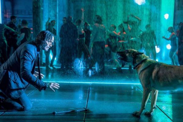 『ジョン・ウィック：コンセクエンス』公開日が9月22日に決定　愛犬の日特別映像も解禁