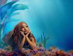 アリエル、海の底で人間の世界に思いを馳せる『リトル・マーメイド』メインビジュアル＆場面写真