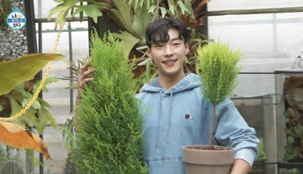 ウ・ドファン除隊後復帰作「朝鮮弁護士」ほかKNTVで日本初放送