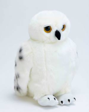 “東京限定”登場！「スタジオツアー東京」グッズ情報公開　広さは世界最大規模